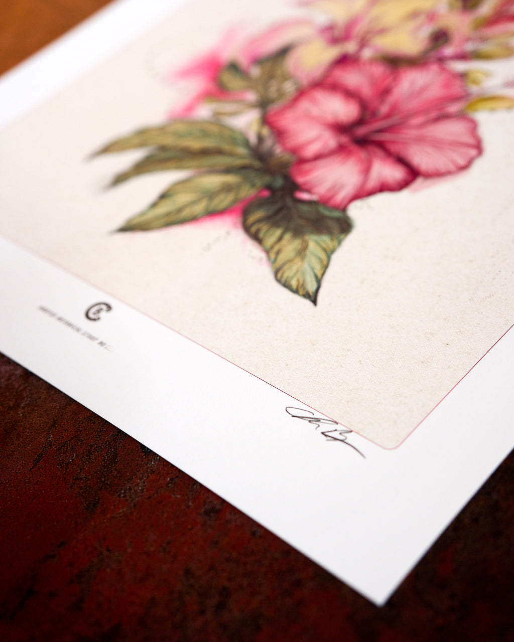 A close detail of the Botanical Study No. 001 print on cotton paper, by Chris Broy