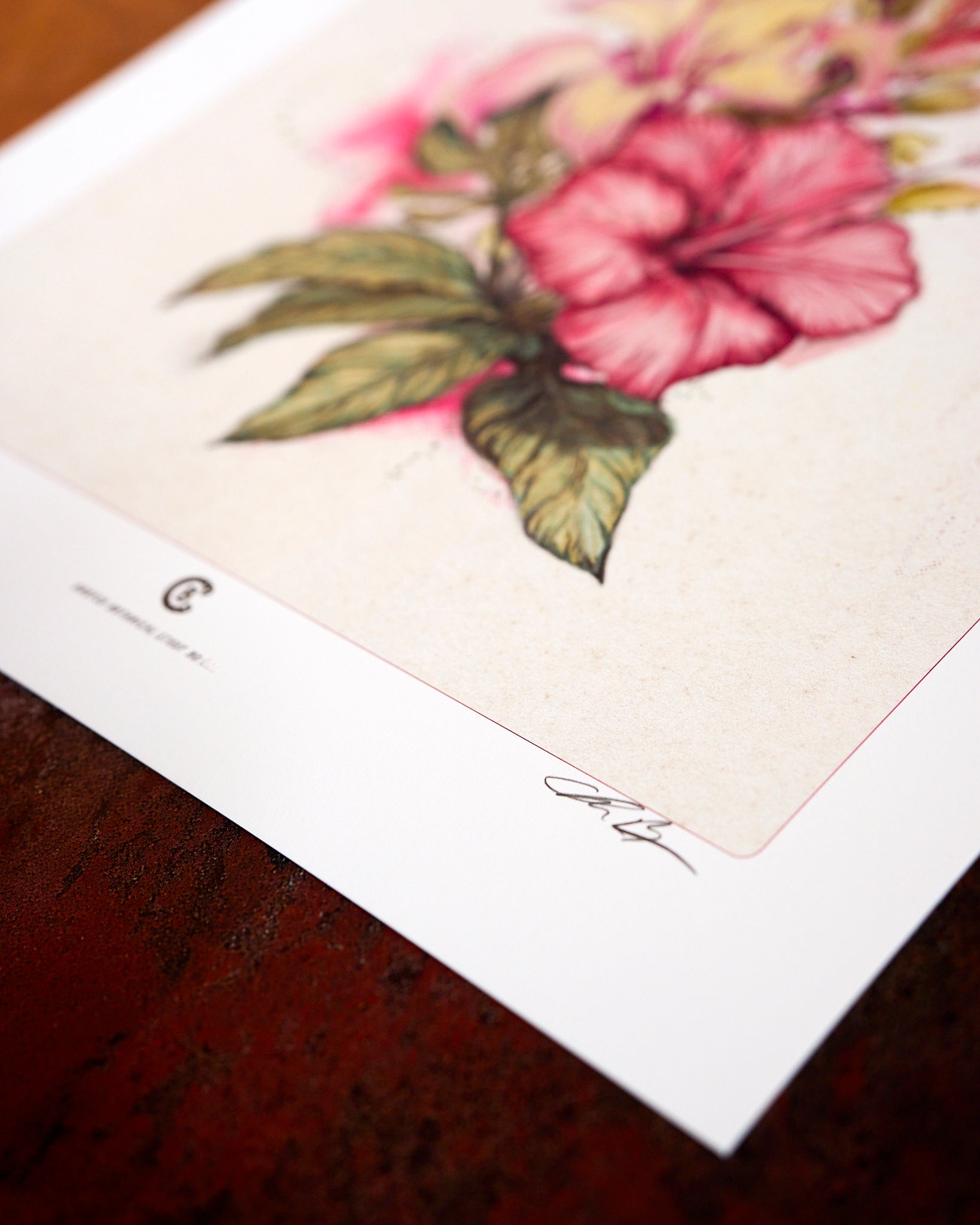 A close detail of the Botanical Study No. 001 print on cotton paper, by Chris Broy
