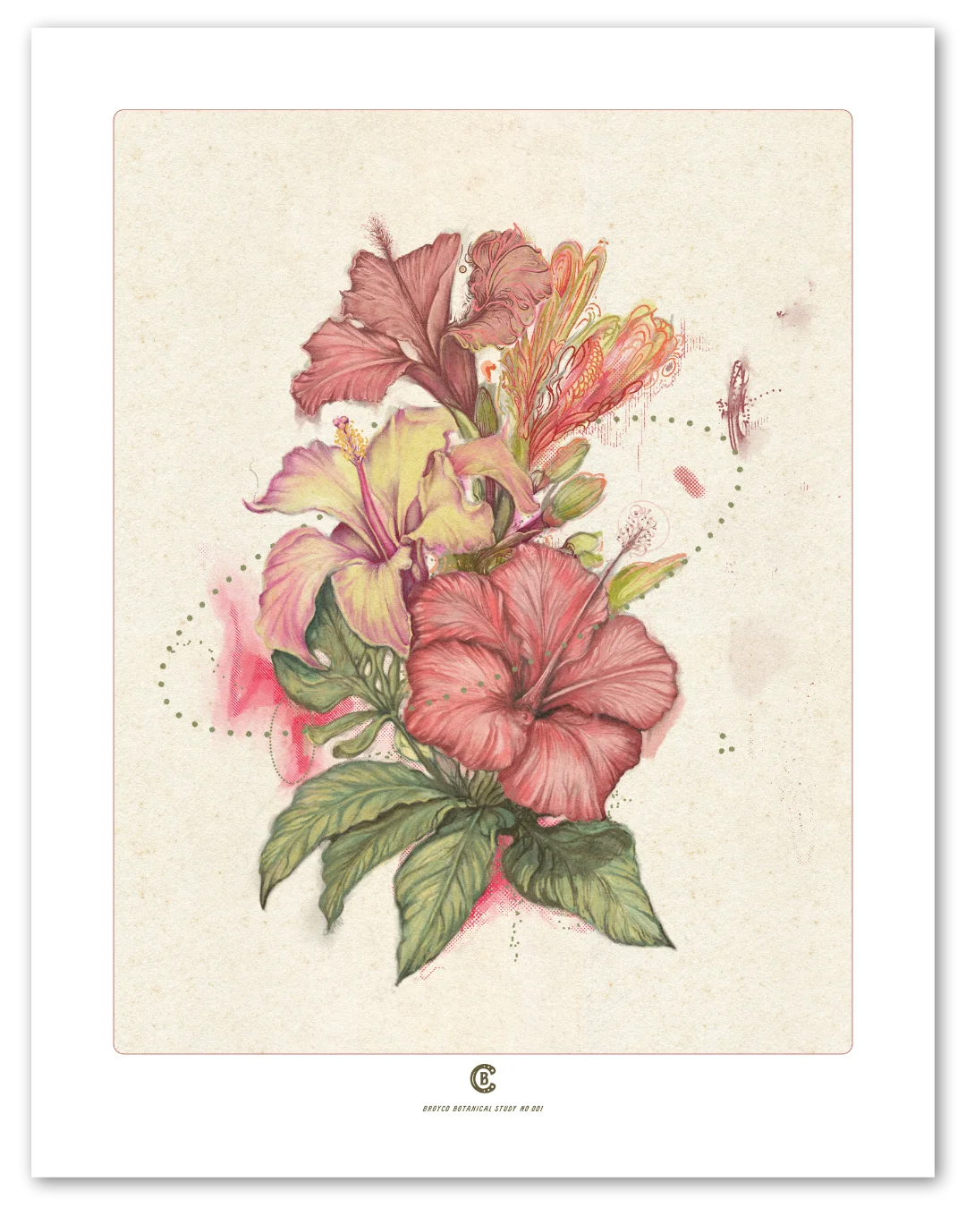 A botanical study of a single plant, first in the series, by Chris Broy