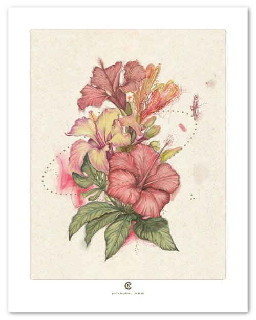 A botanical study of a single plant, first in the series, by Chris Broy