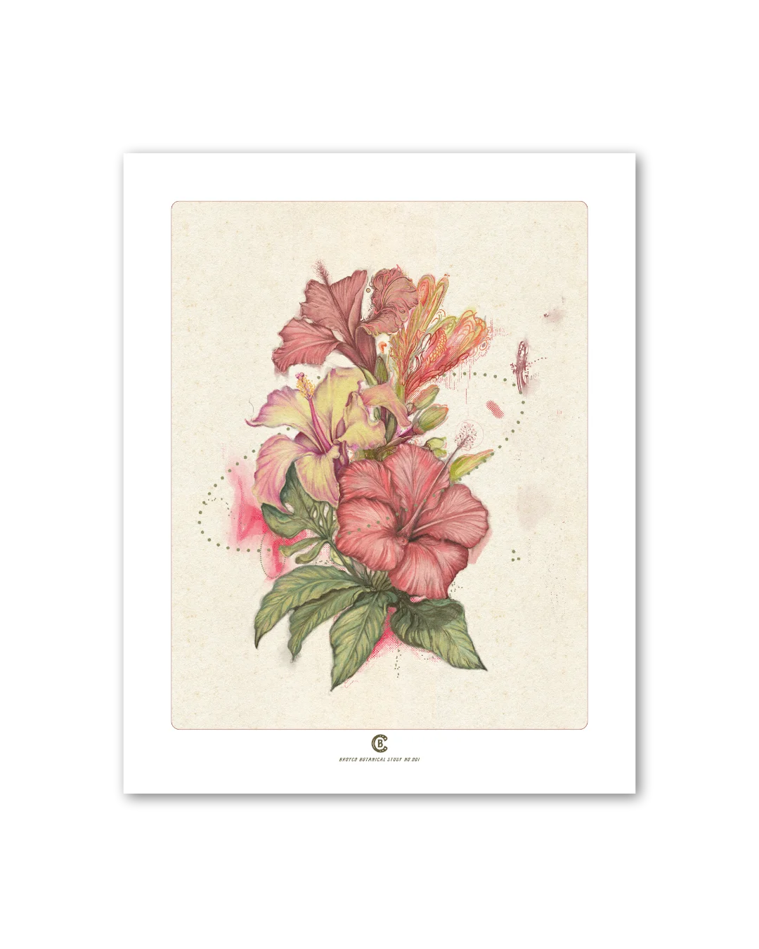 A botanical study of a single plant, first in the series, by Chris Broy